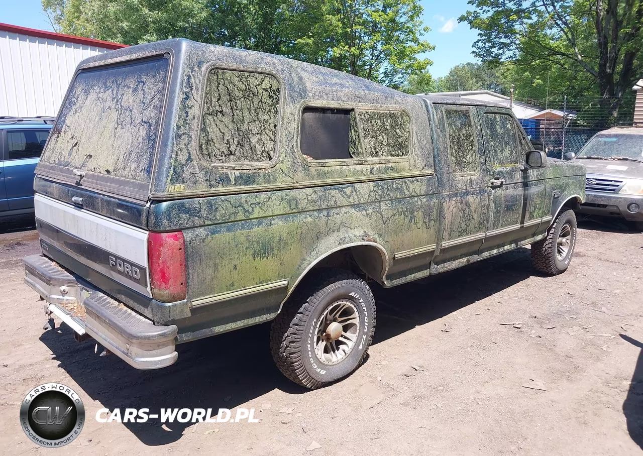 1993 Ford F150 VIN:1FTEX14N1PKB57919 - 4