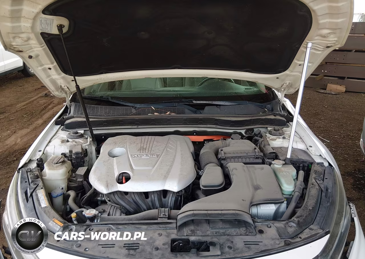 2015 Kia Optima Hybrid Ex VIN:KNAGN4AD8F5080181 - 10