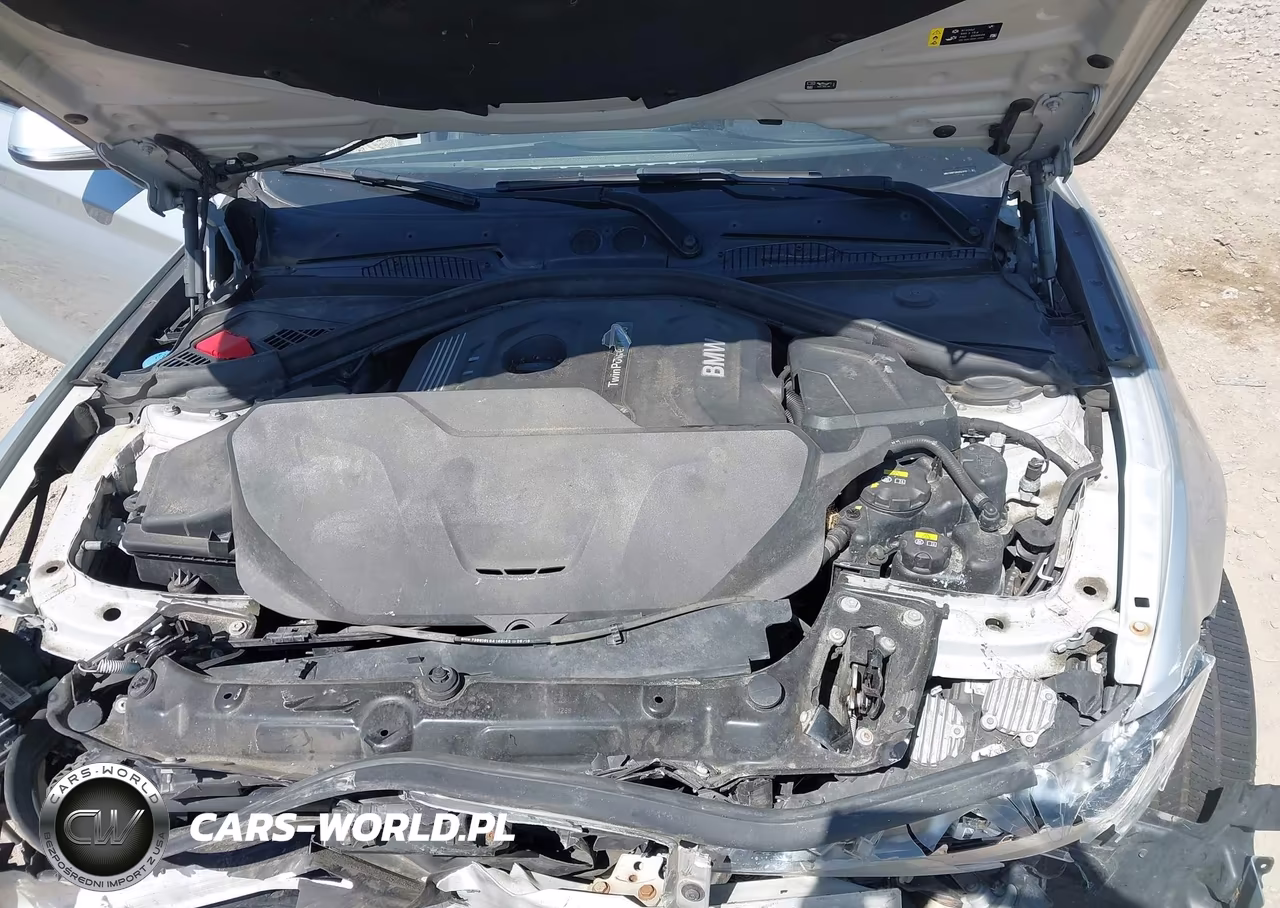 2017 BMW 230I xDrive VIN:WBA2H9C56HV641727 - 10