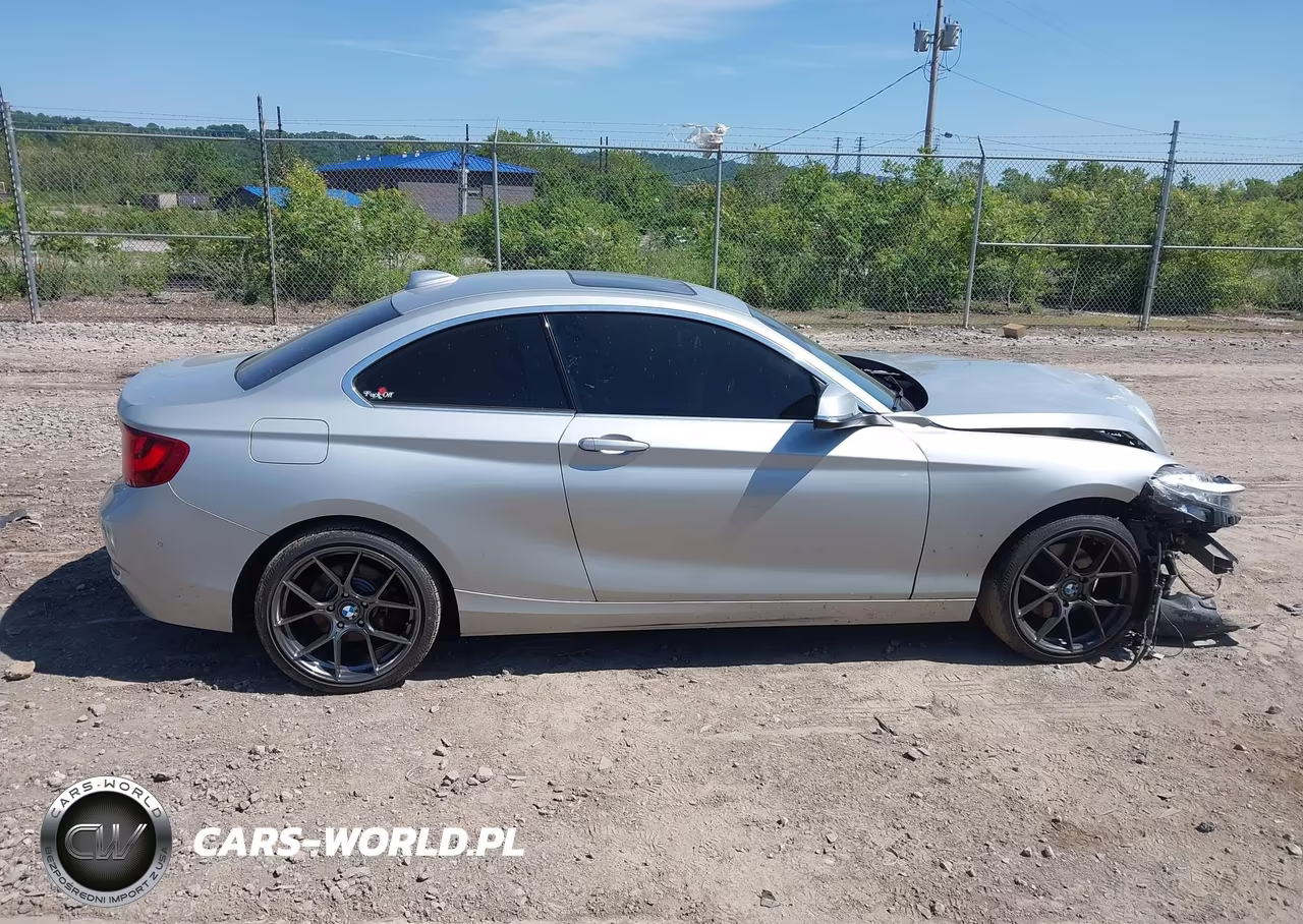 2017 BMW 230I xDrive VIN:WBA2H9C56HV641727 - 13