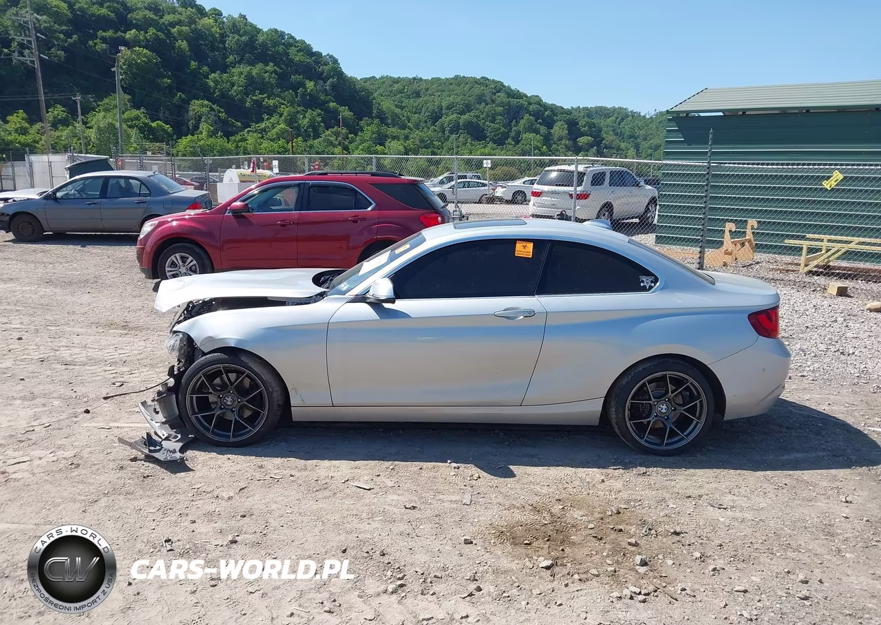 2017 BMW 230I xDrive VIN:WBA2H9C56HV641727 - 14