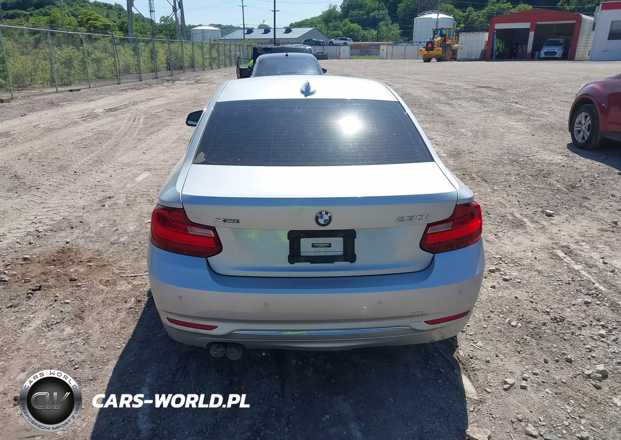 2017 BMW 230I xDrive VIN:WBA2H9C56HV641727 - 16
