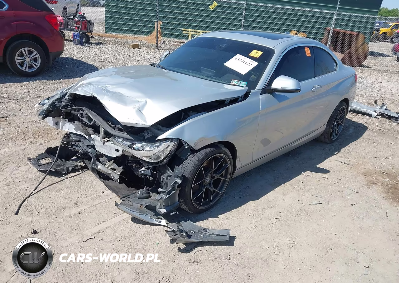 2017 BMW 230I xDrive VIN:WBA2H9C56HV641727 - 2