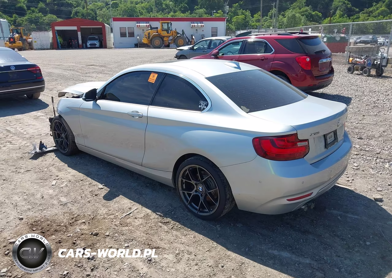 2017 BMW 230I xDrive VIN:WBA2H9C56HV641727 - 3