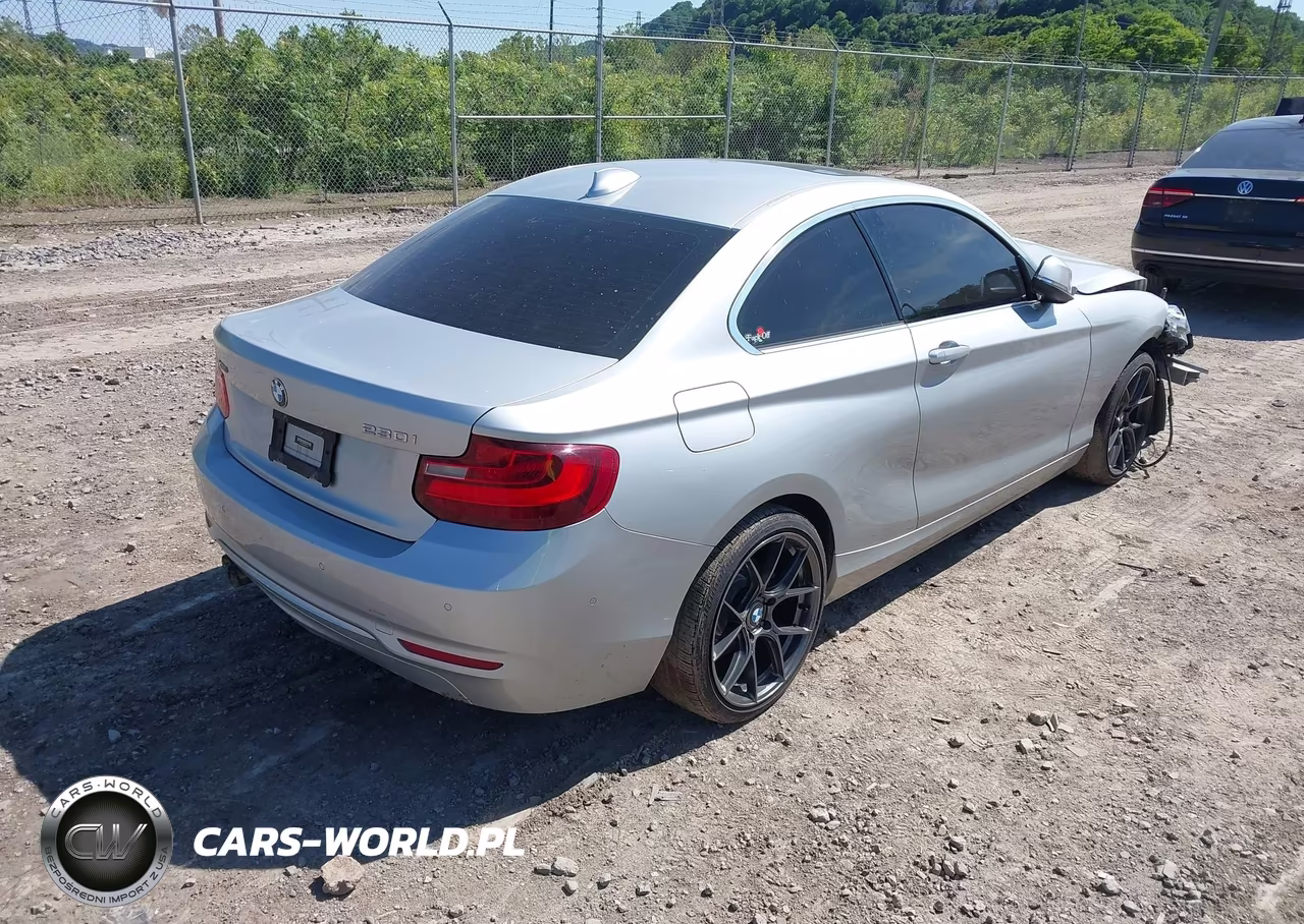 2017 BMW 230I xDrive VIN:WBA2H9C56HV641727 - 4