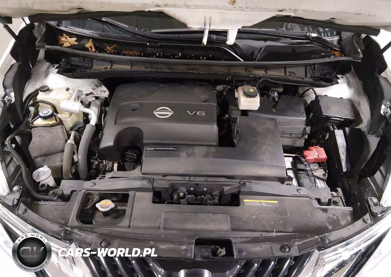 2015 Nissan Murano Sl VIN:5N1AZ2MH7FN261736 - 10