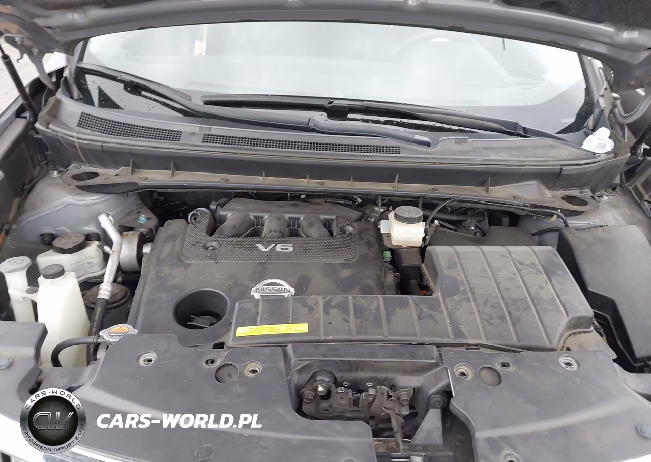 2010 Nissan Murano Sl VIN:JN8AZ1MU1AW014604 - 10