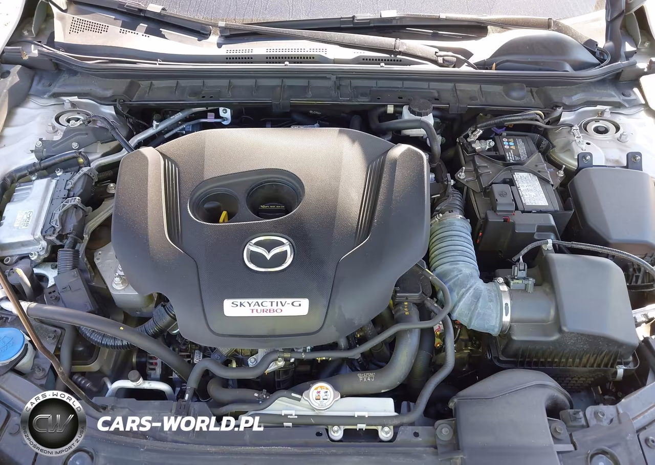 2023 Mazda Mazda3 2.5 Turbo Premium Plus VIN:3MZBPBEY6PM372929 - 10
