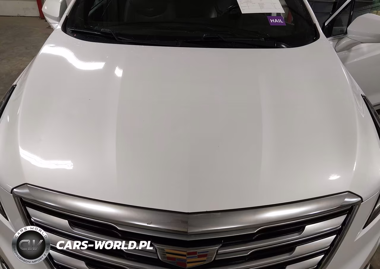 2017 Cadillac Xt5 Luxury VIN:1GYKNDRS7HZ288039 - 18
