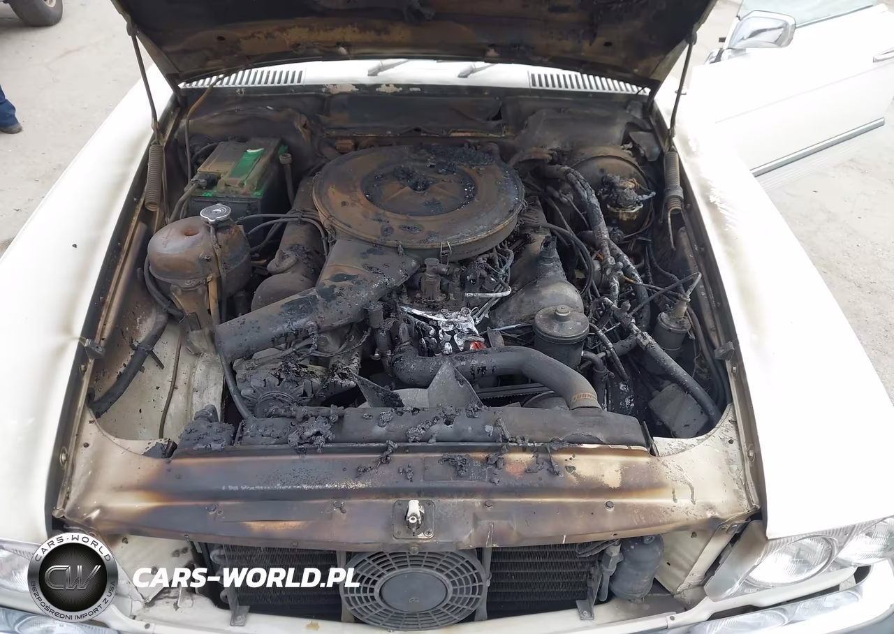 1973 Mbnz Sl 450 Convertible VIN:10704412011356 - 10