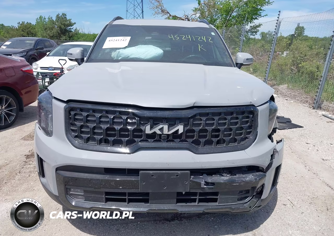 2024 Kia Telluride Sx X-Pro VIN:5XYP5DGCXRG489912 - 12