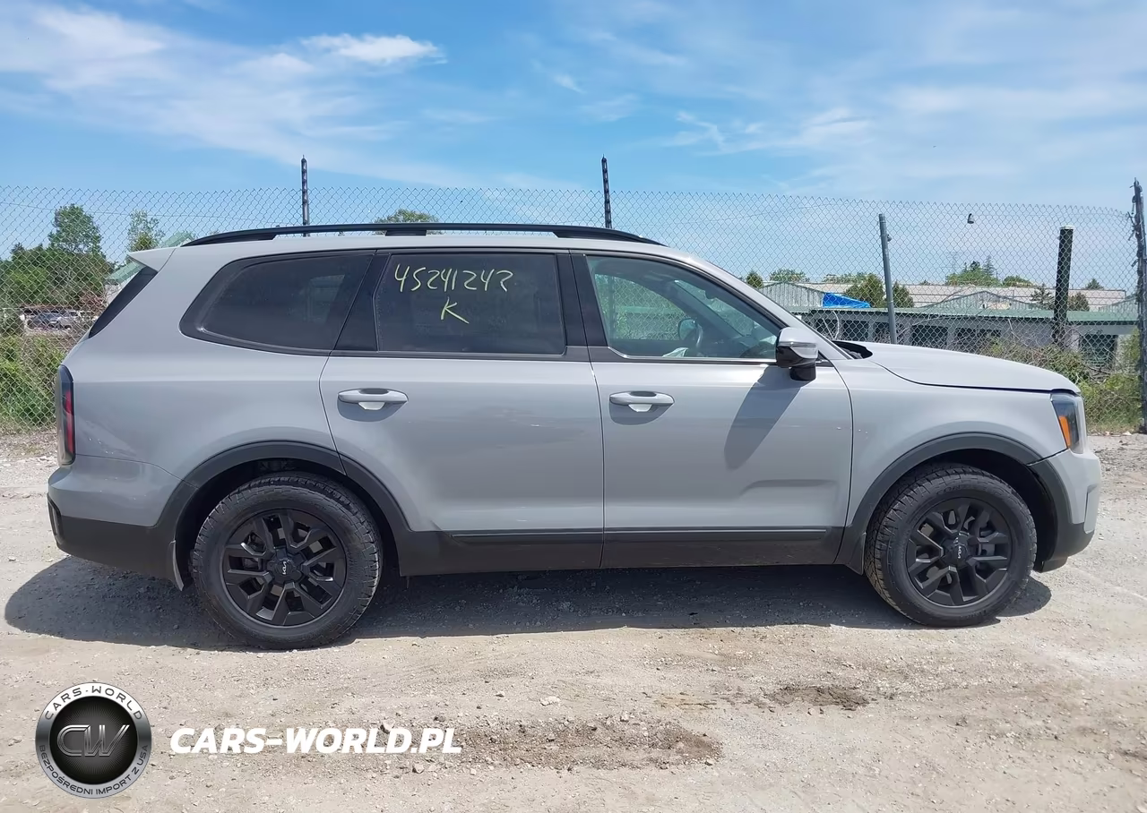 2024 Kia Telluride Sx X-Pro VIN:5XYP5DGCXRG489912 - 13