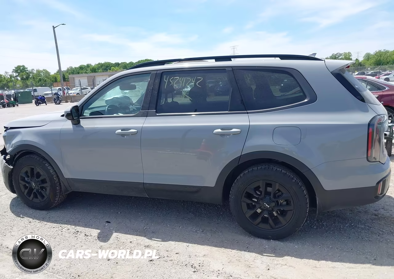 2024 Kia Telluride Sx X-Pro VIN:5XYP5DGCXRG489912 - 14