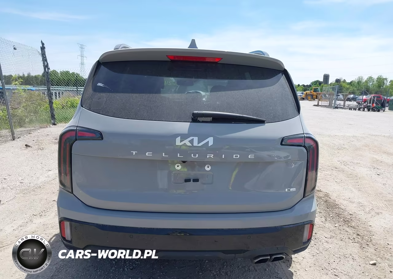 2024 Kia Telluride Sx X-Pro VIN:5XYP5DGCXRG489912 - 16