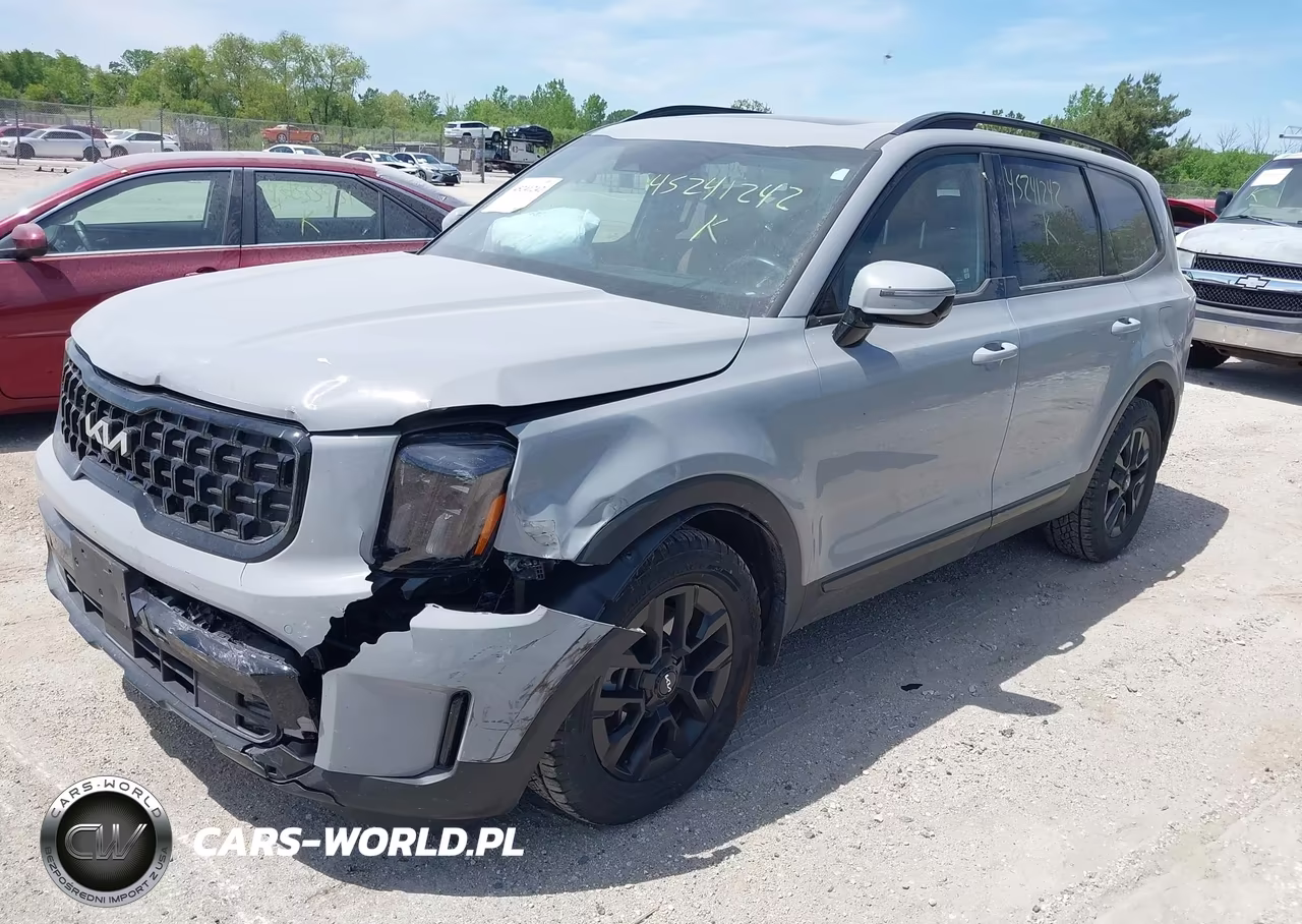 2024 Kia Telluride Sx X-Pro VIN:5XYP5DGCXRG489912 - 2