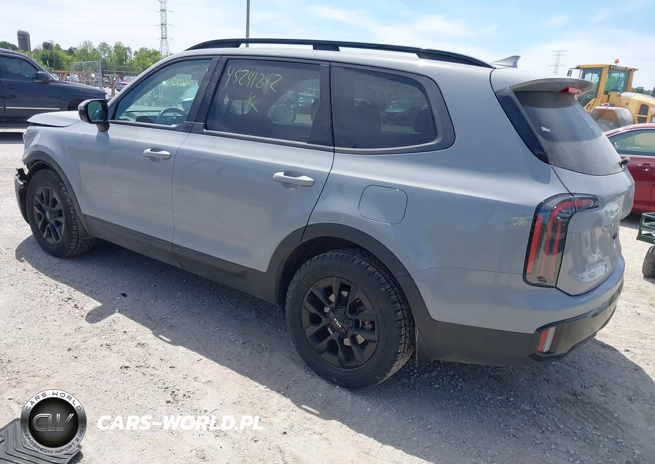 2024 Kia Telluride Sx X-Pro VIN:5XYP5DGCXRG489912 - 3