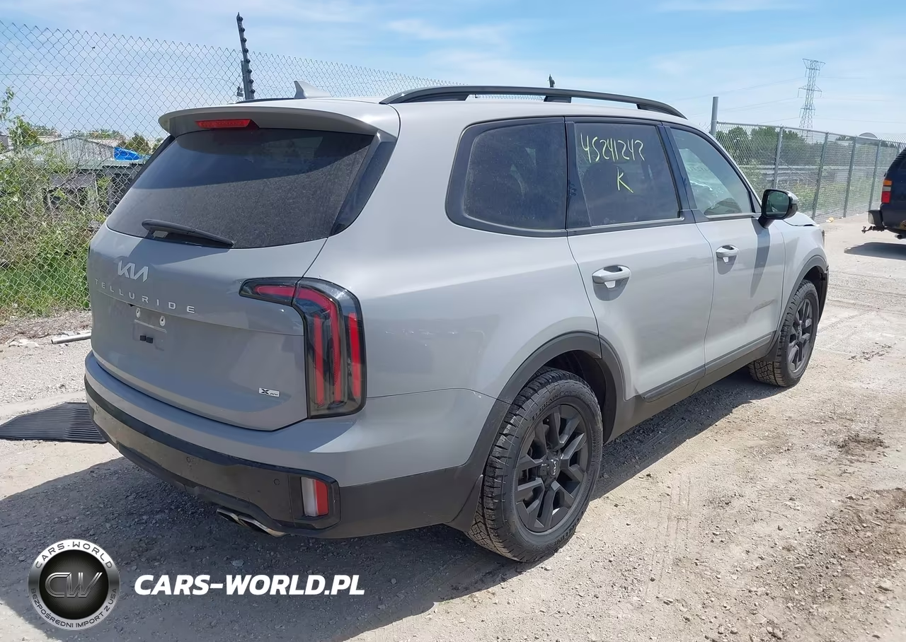 2024 Kia Telluride Sx X-Pro VIN:5XYP5DGCXRG489912 - 4
