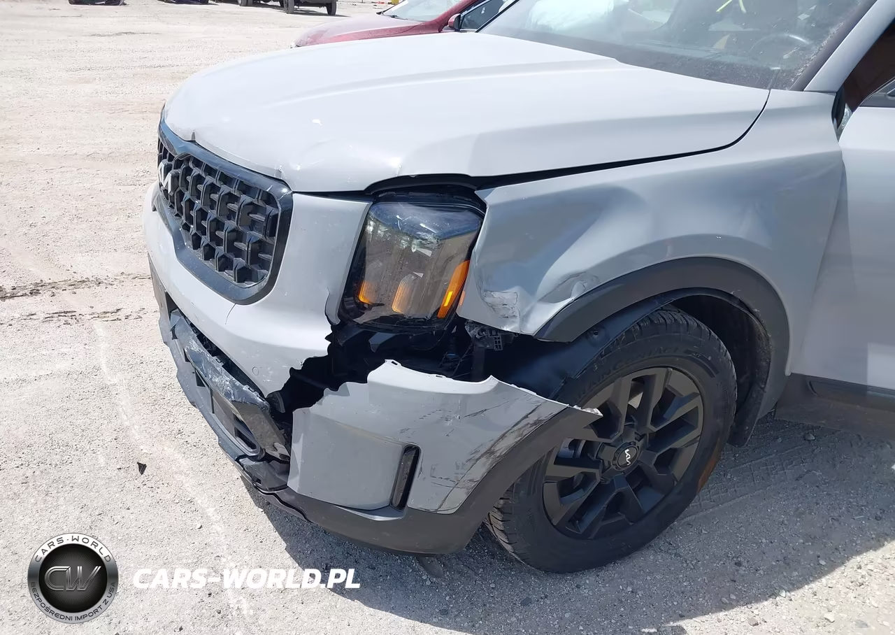 2024 Kia Telluride Sx X-Pro VIN:5XYP5DGCXRG489912 - 6
