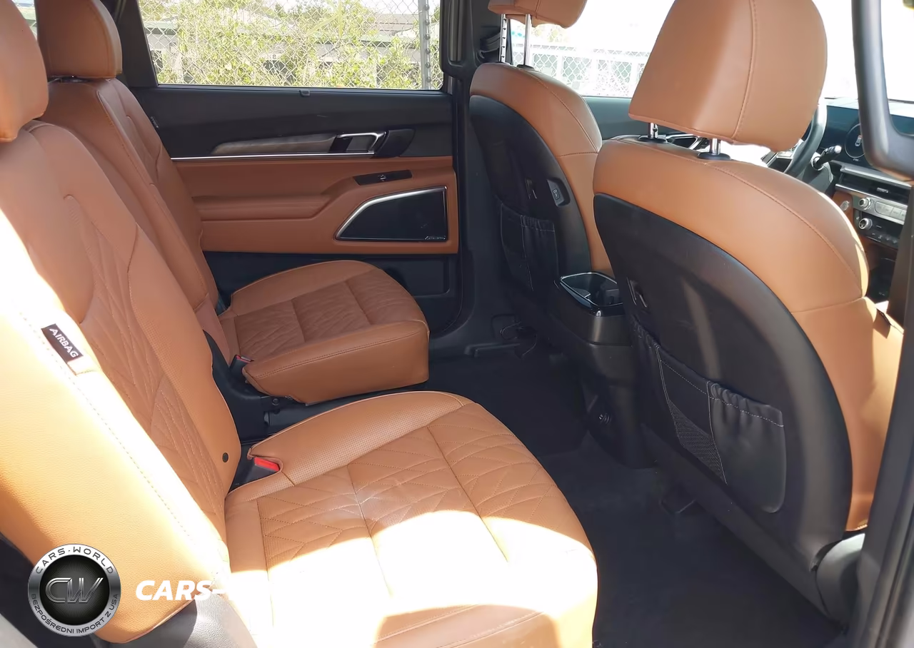 2024 Kia Telluride Sx X-Pro VIN:5XYP5DGCXRG489912 - 8