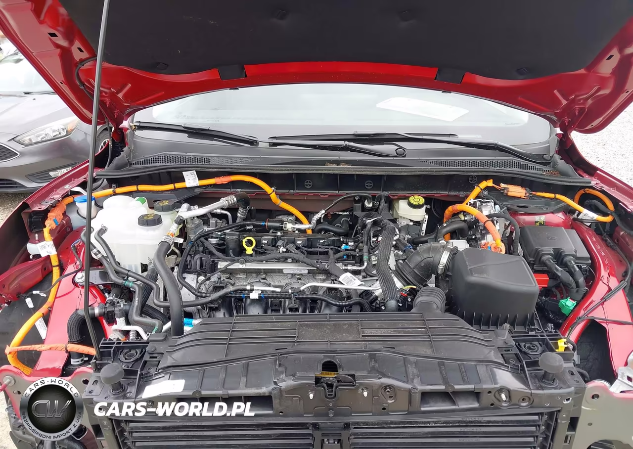 2025 Ford Escape Phev VIN:1FMCU0E13SUB64417 - 10