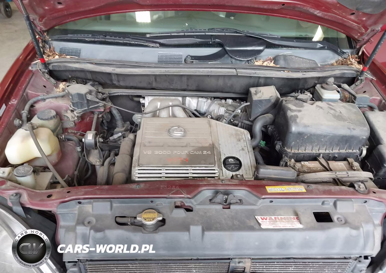 1999 Lexus Rx 300 VIN:JT6HF10U8X0071636 - 10