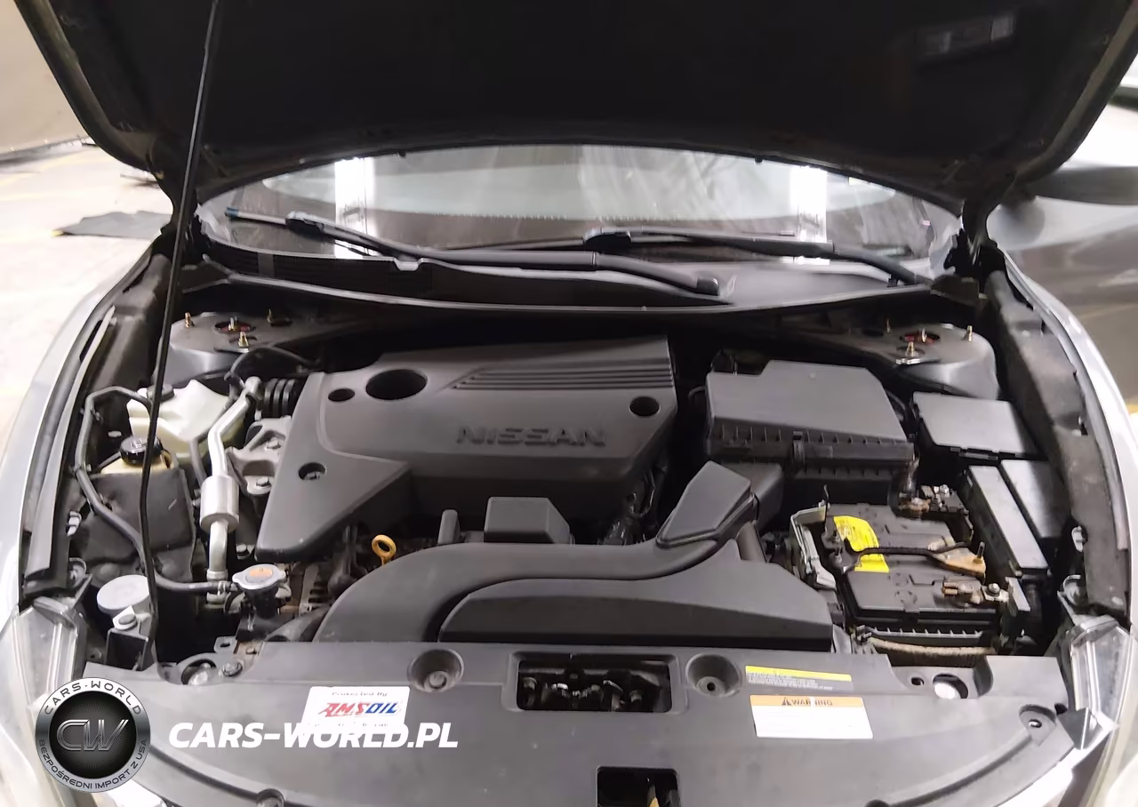 2016 Nissan Altima 2.5 S VIN:1N4AL3AP2GC273464 - 10