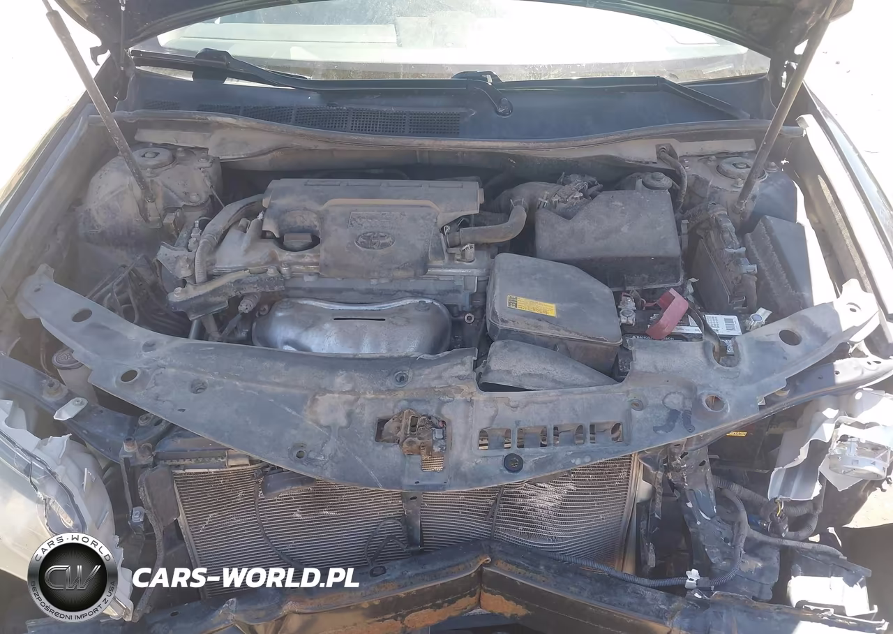 2014 Toyota Camry Se VIN:4T1BF1FK6EU429418 - 10