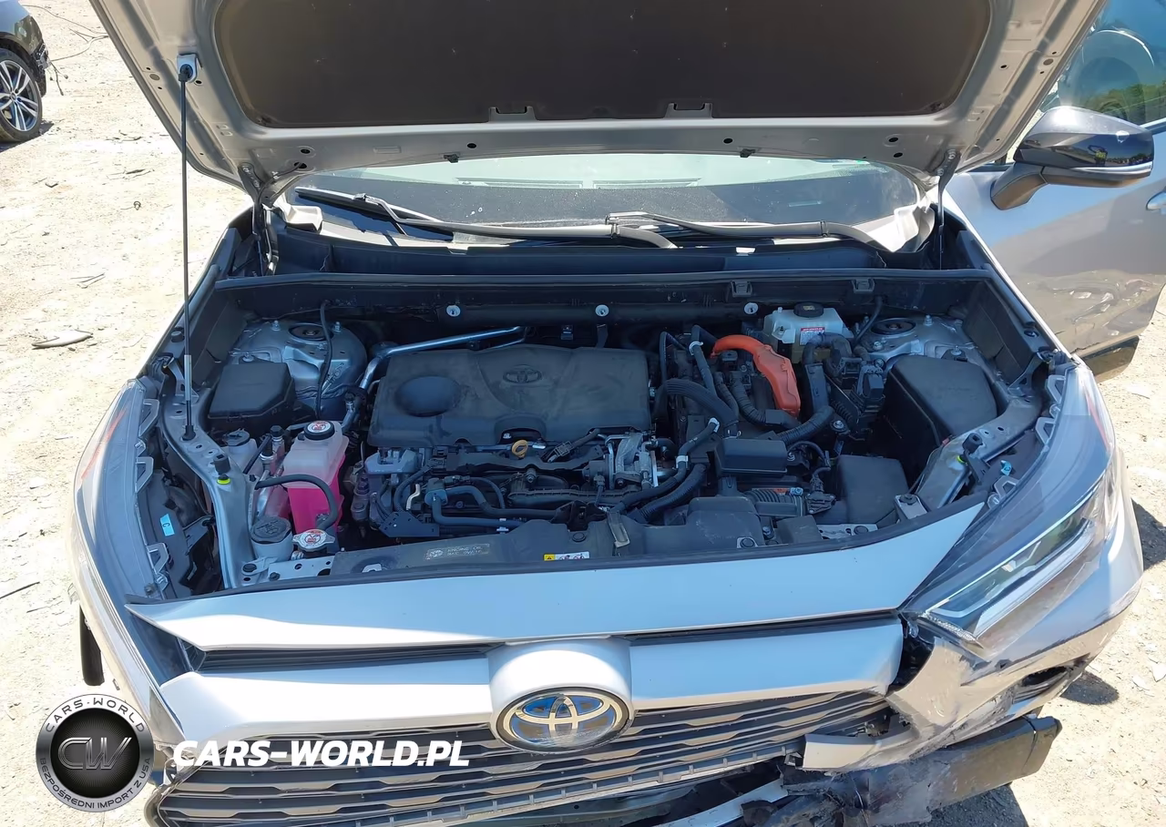 2019 Toyota Rav4 Hybrid Xse VIN:2T3EWRFV5KW029746 - 10