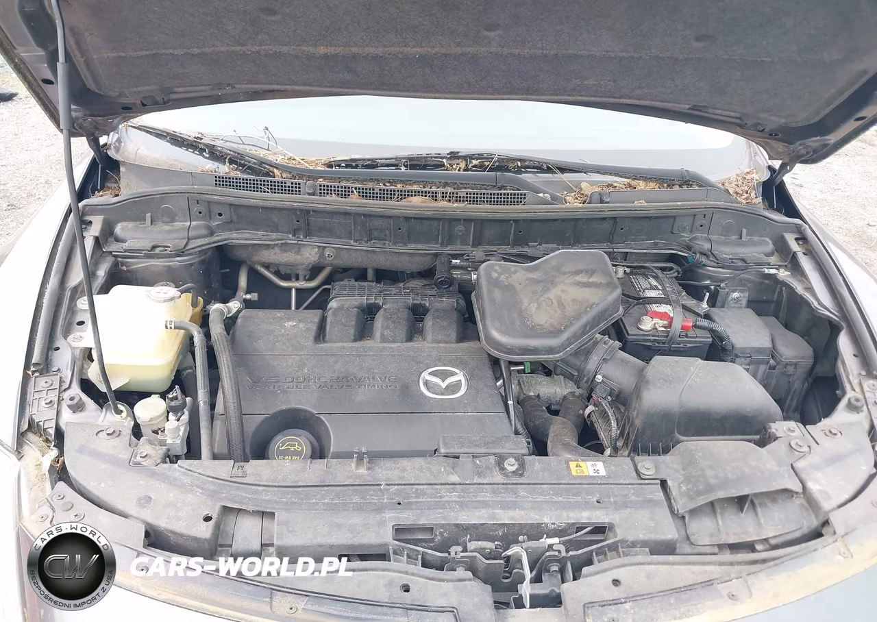 2014 Mazda Cx-9 Sport VIN:JM3TB2BA1E0427193 - 10