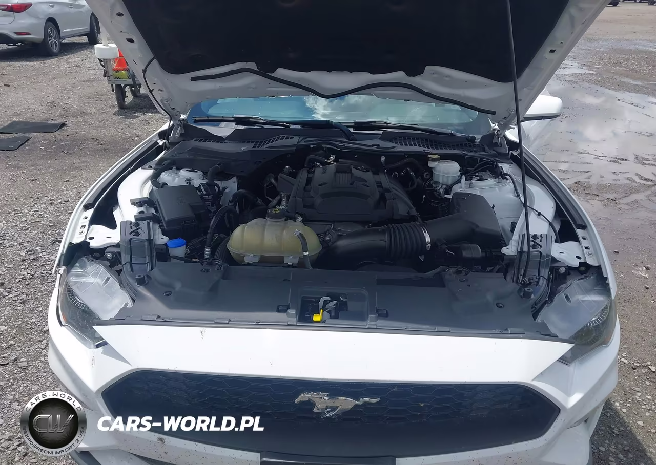 2020 Ford Mustang Ecoboost Fastback VIN:1FA6P8TH4L5183115 - 10