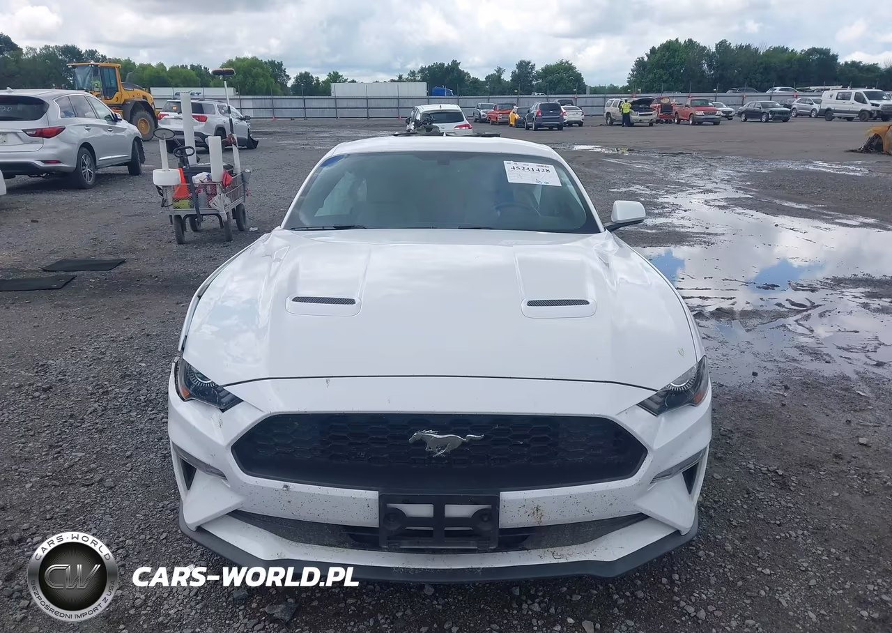 2020 Ford Mustang Ecoboost Fastback VIN:1FA6P8TH4L5183115 - 12