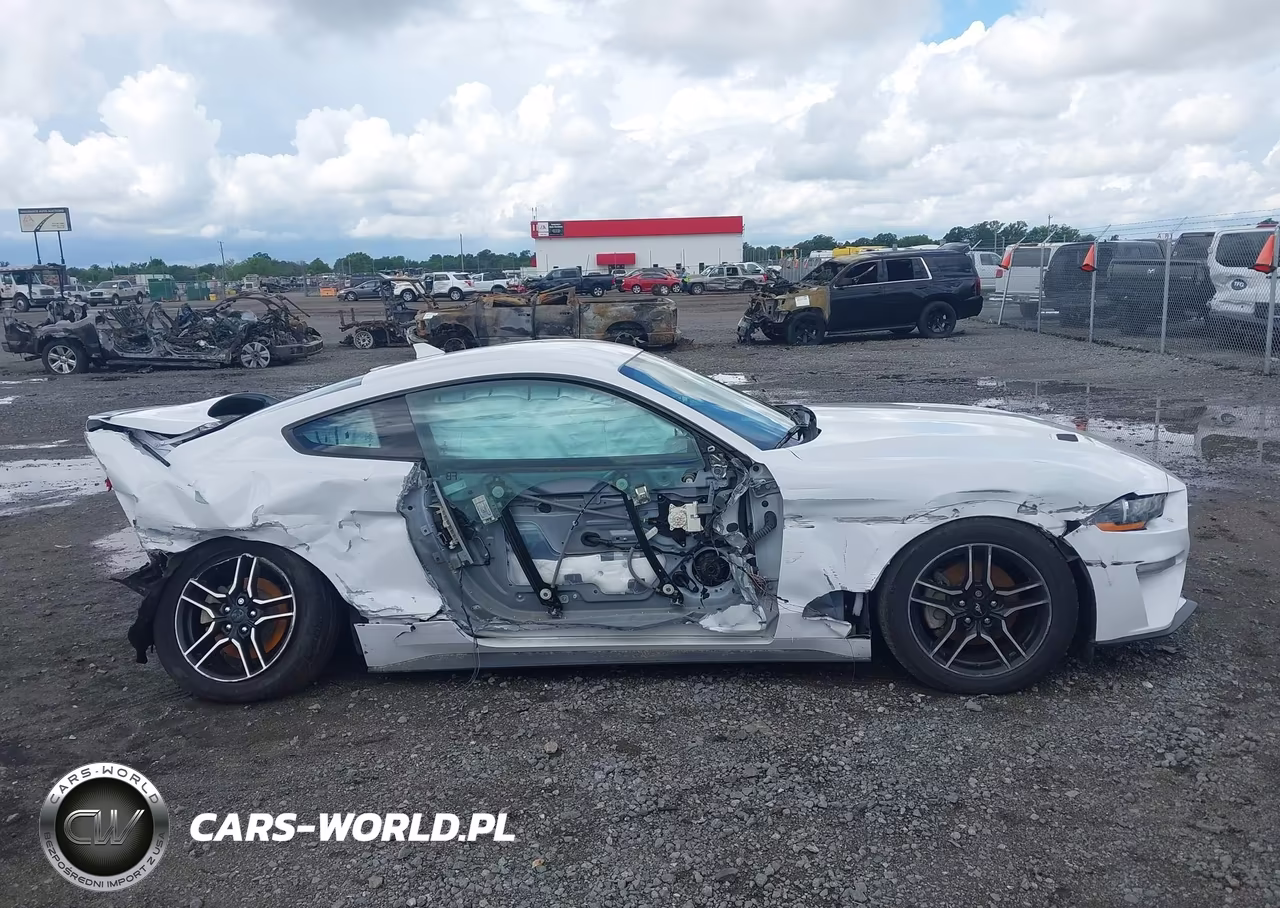 2020 Ford Mustang Ecoboost Fastback VIN:1FA6P8TH4L5183115 - 13
