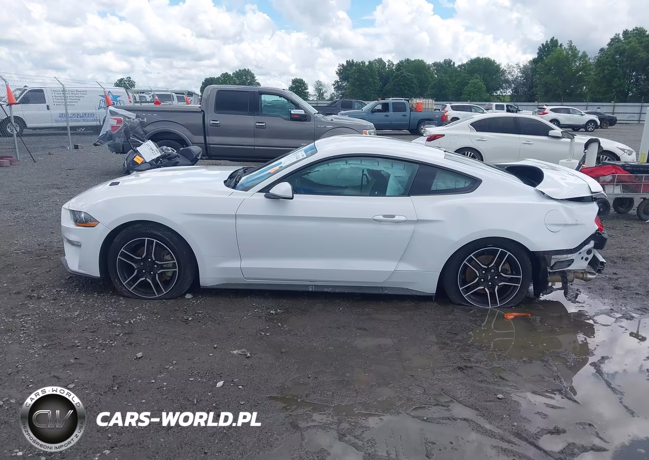 2020 Ford Mustang Ecoboost Fastback VIN:1FA6P8TH4L5183115 - 14