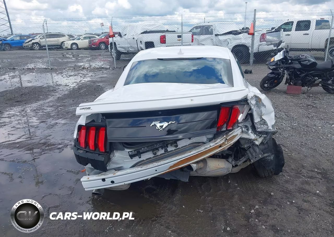 2020 Ford Mustang Ecoboost Fastback VIN:1FA6P8TH4L5183115 - 16