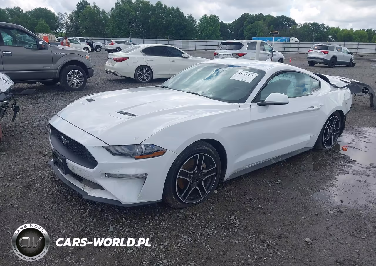 2020 Ford Mustang Ecoboost Fastback VIN:1FA6P8TH4L5183115 - 2