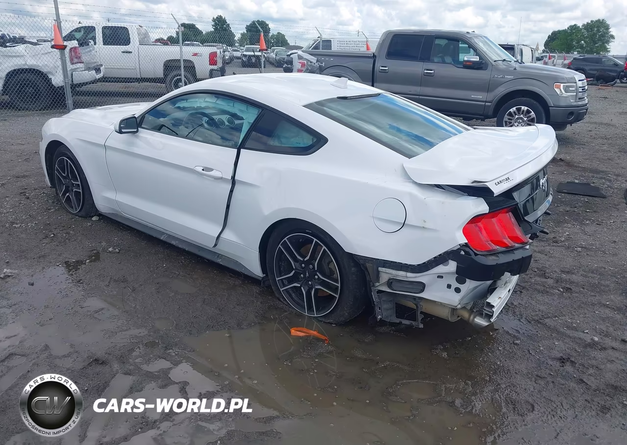 2020 Ford Mustang Ecoboost Fastback VIN:1FA6P8TH4L5183115 - 3