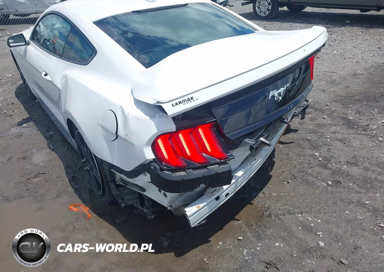 2020 Ford Mustang Ecoboost Fastback VIN:1FA6P8TH4L5183115 - 6