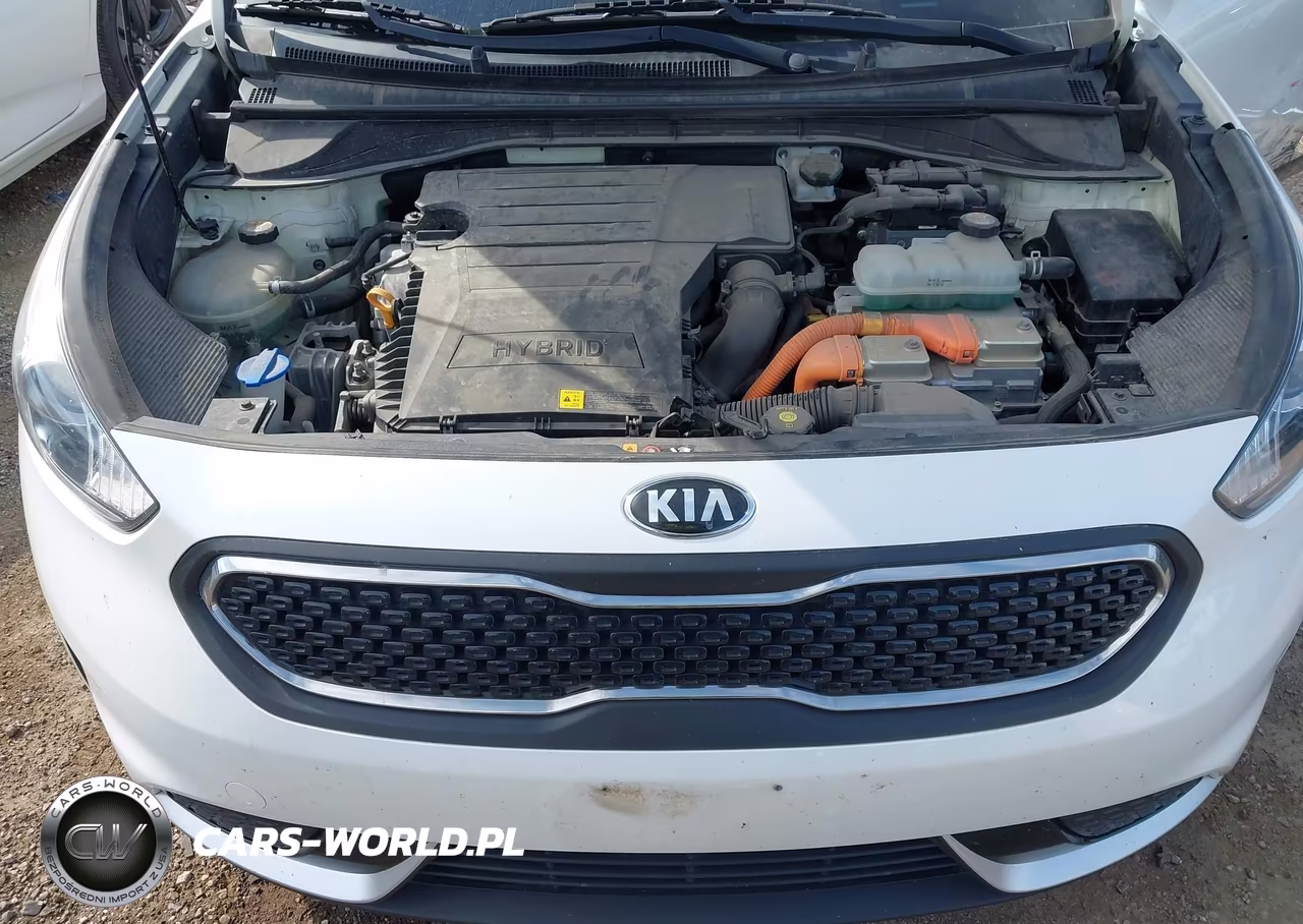 2019 Kia Niro Lx VIN:KNDCB3LC2K5307318 - 10