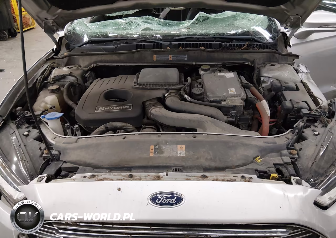 2013 Ford Fusion Hybrid Se VIN:3FA6P0LU0DR125743 - 10