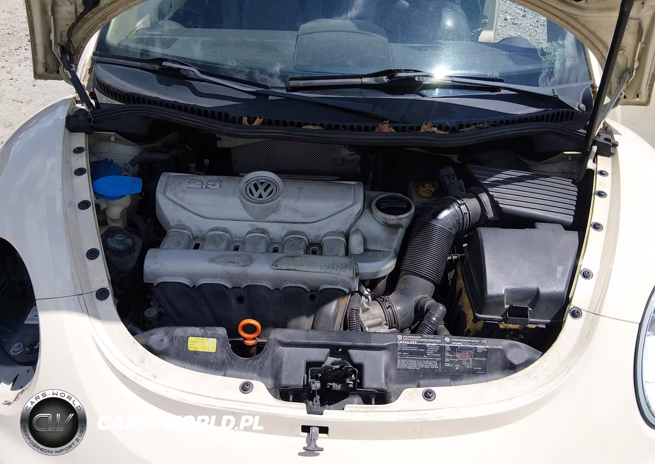 2007 Volkswagen New Beetle 2.5 VIN:3VWRW31C47M521159 - 10