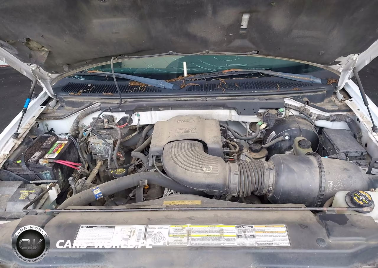2000 Ford F-150 Work Series-Xl-Xlt VIN:1FTRF17W2YNC23614 - 10