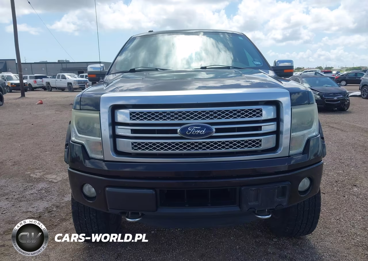 2014 Ford F-150 Platinum VIN:1FTFW1ETXEFC07517 - 13