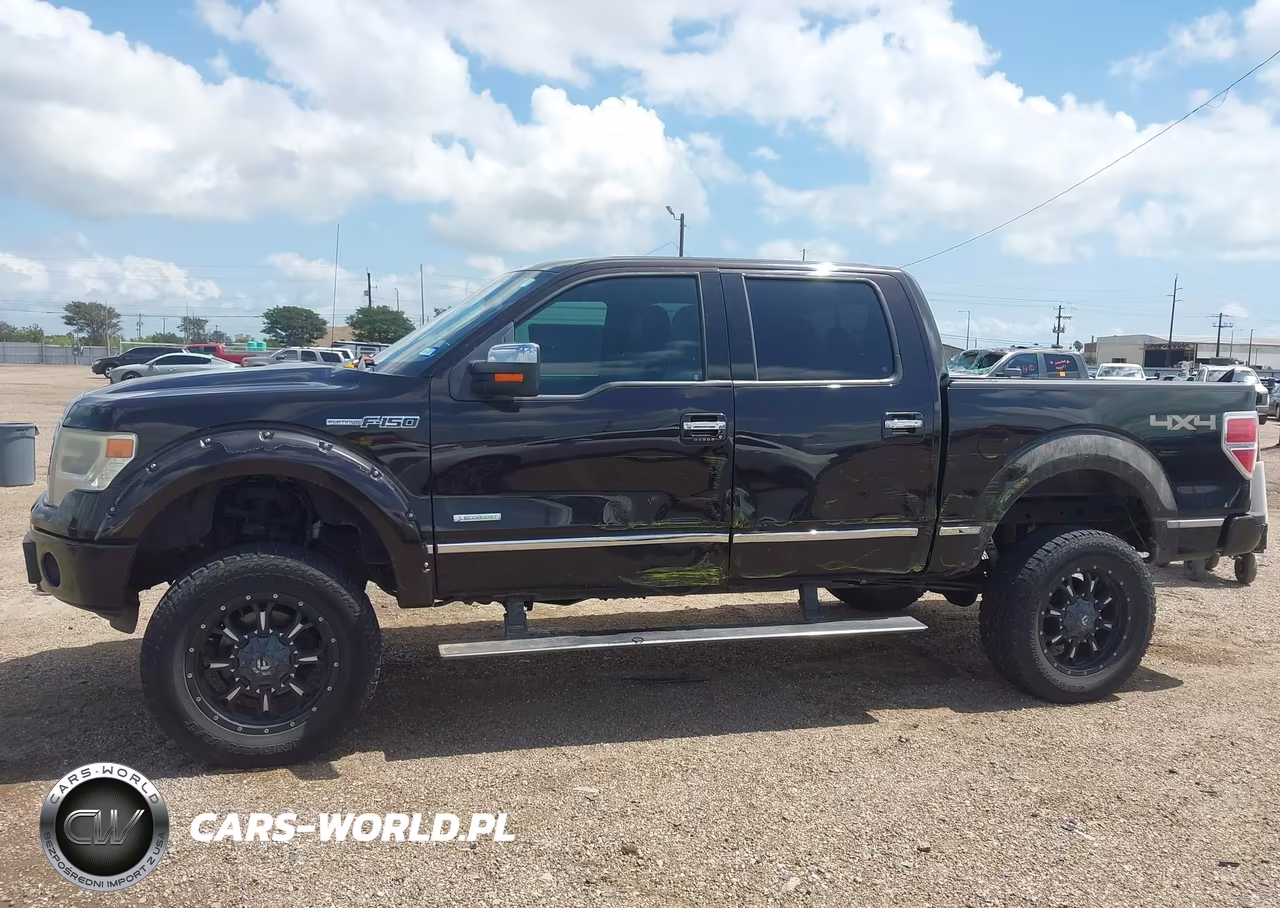 2014 Ford F-150 Platinum VIN:1FTFW1ETXEFC07517 - 15