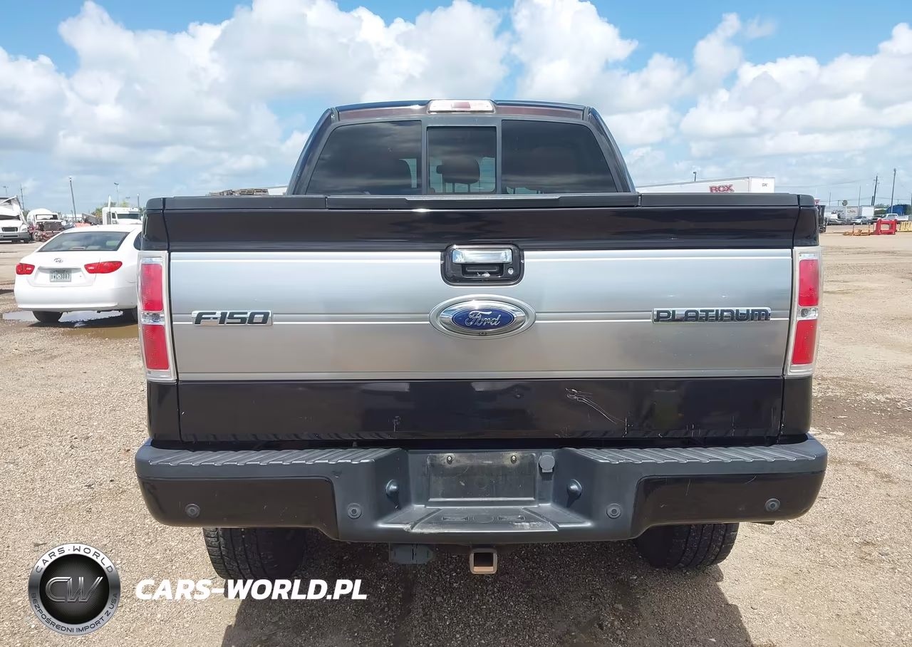 2014 Ford F-150 Platinum VIN:1FTFW1ETXEFC07517 - 17