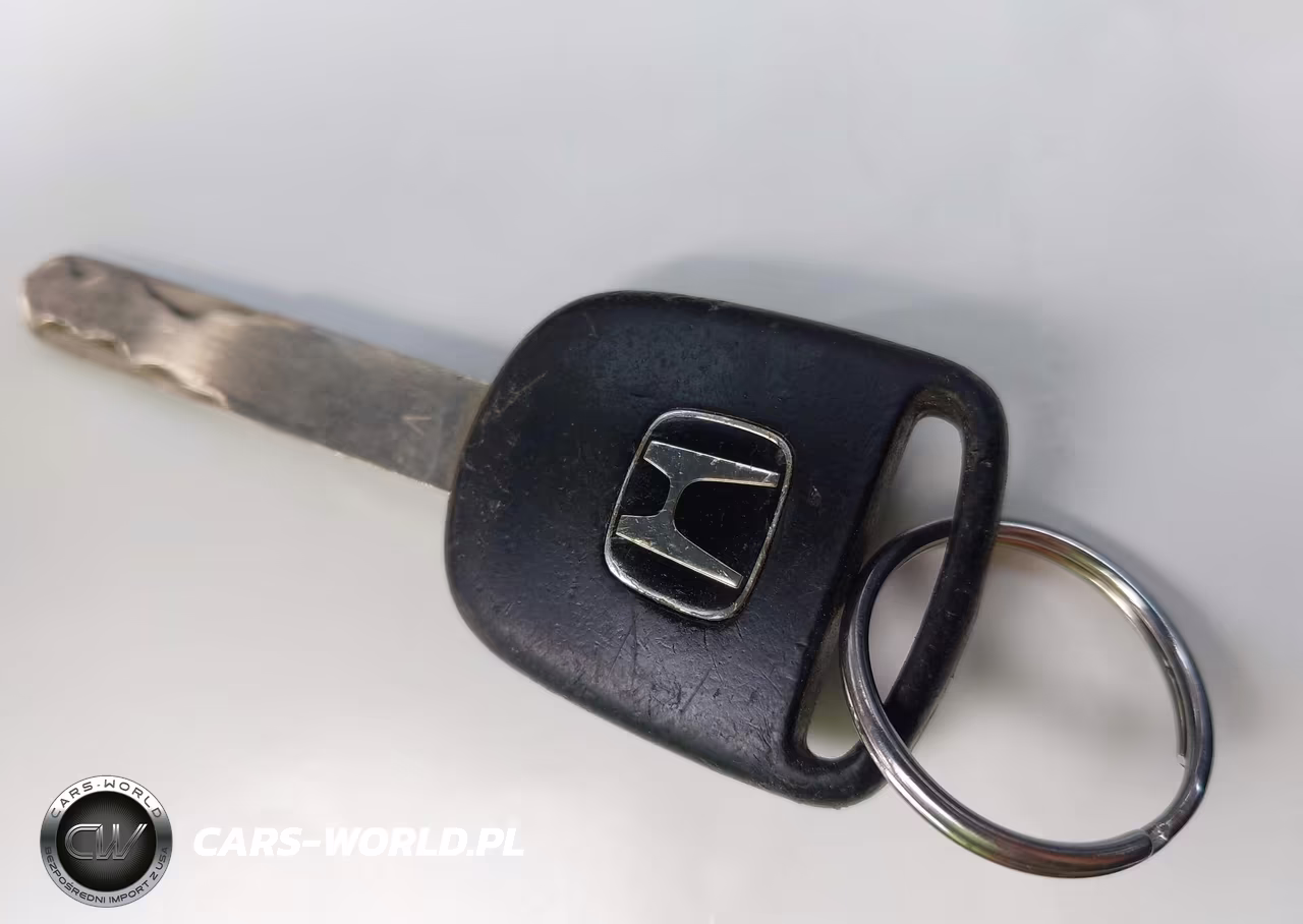 2008 Honda Element Lx VIN:5J6YH28388L003528 - 11