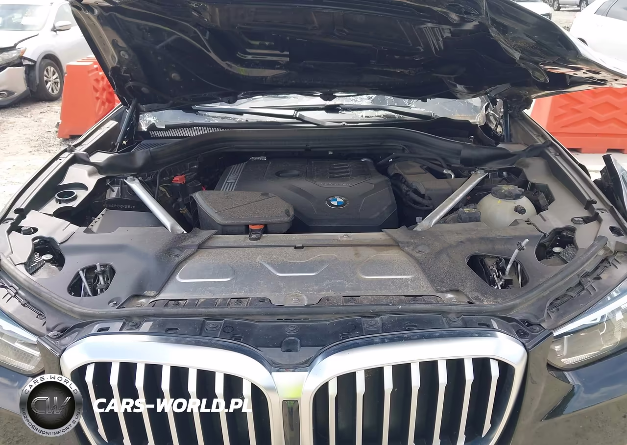 2022 BMW X3 xDrive30I VIN:5UX53DP05N9M98854 - 10