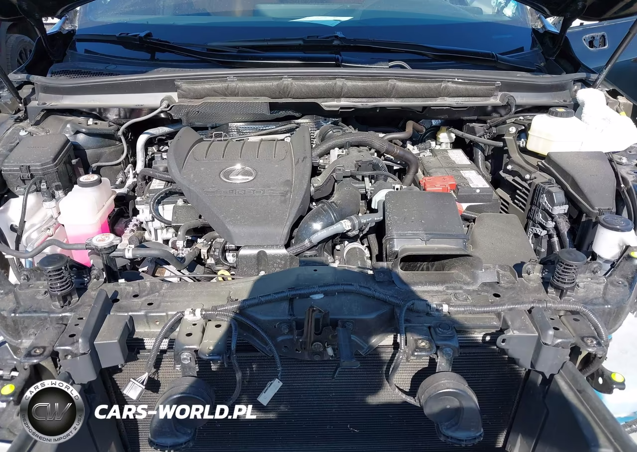 2024 Lexus Rx 350 Premium VIN:2T2BAMCA5RC082761 - 10