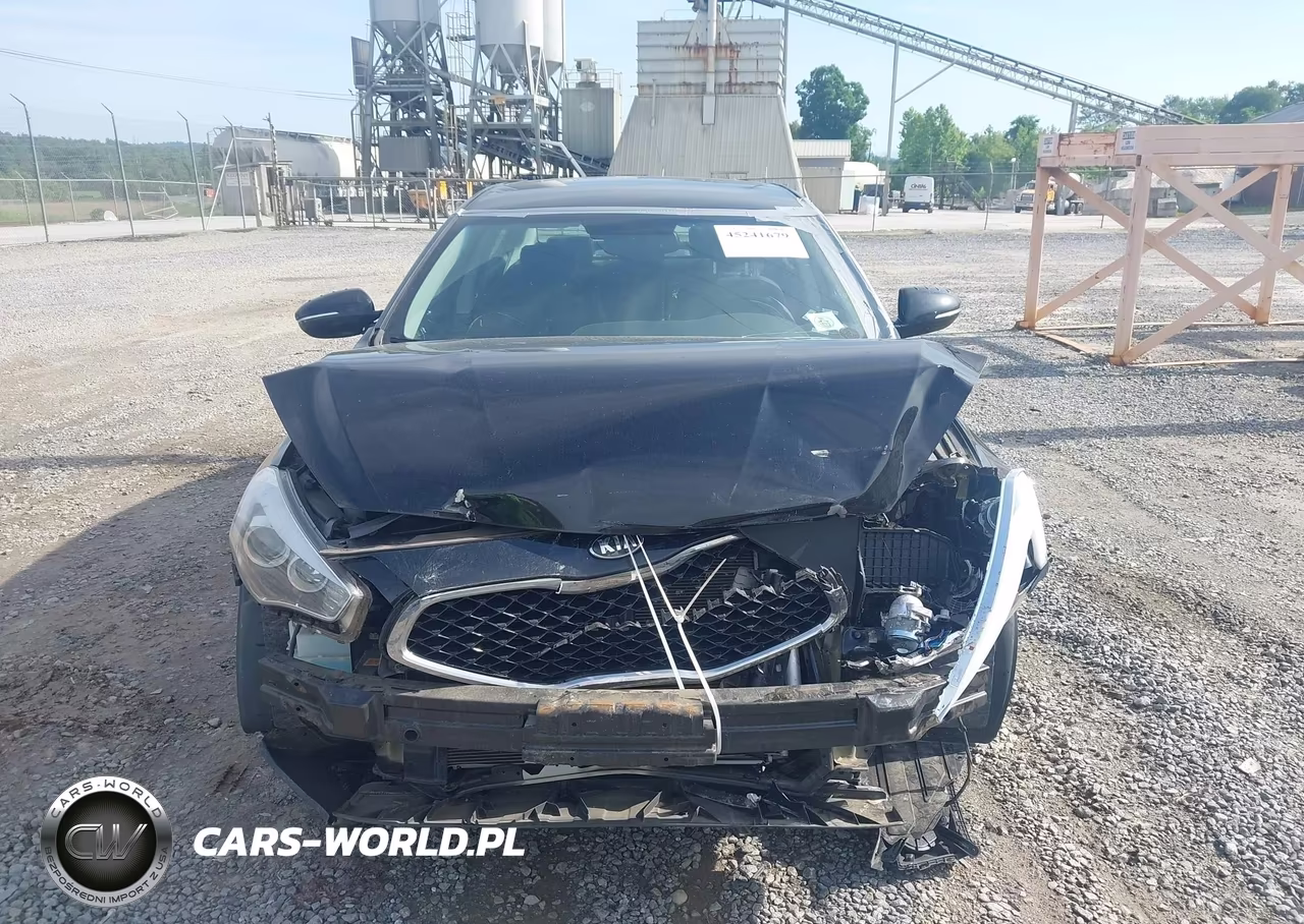 2014 Kia Cadenza Premium VIN:KNALN4D70E5166930 - 12