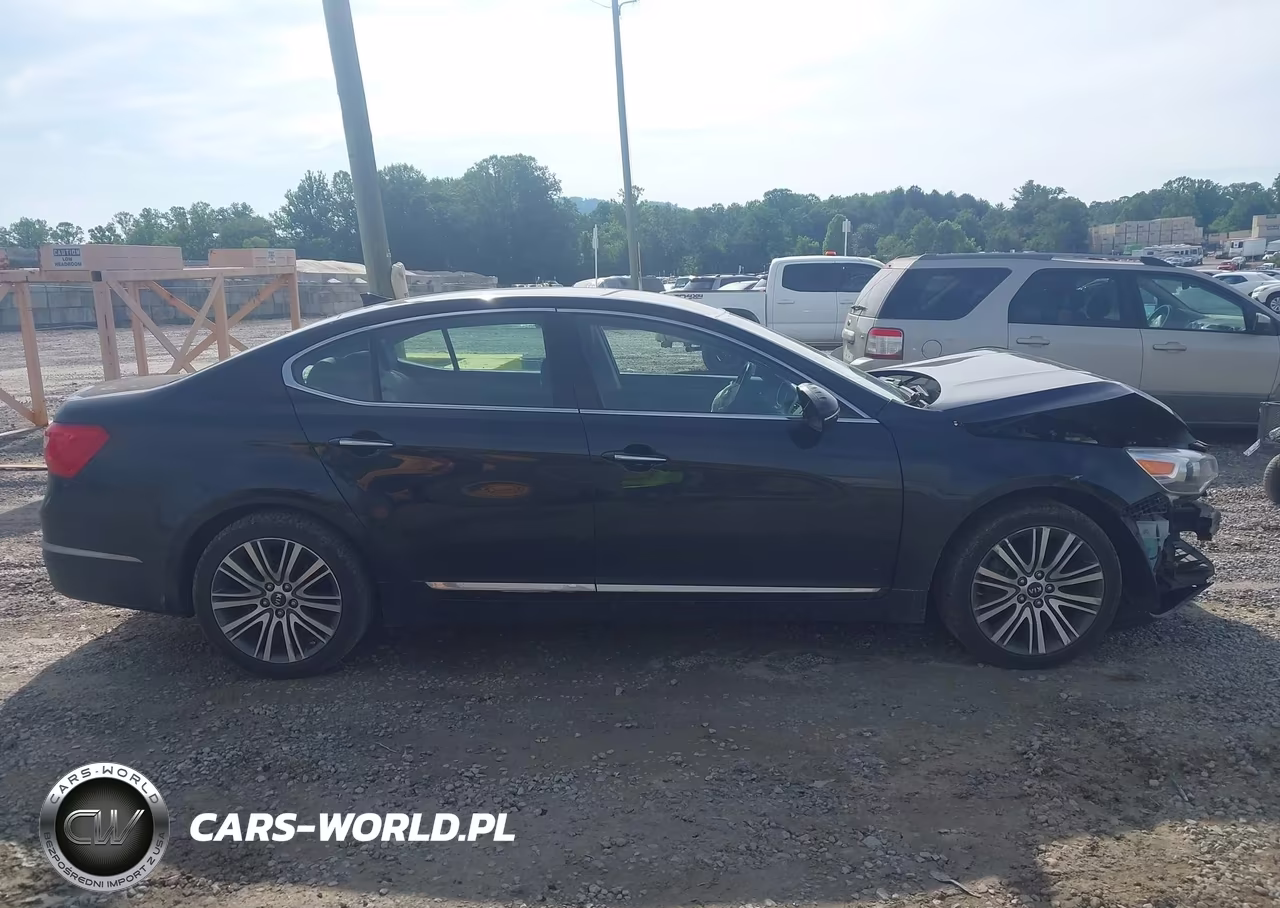 2014 Kia Cadenza Premium VIN:KNALN4D70E5166930 - 13