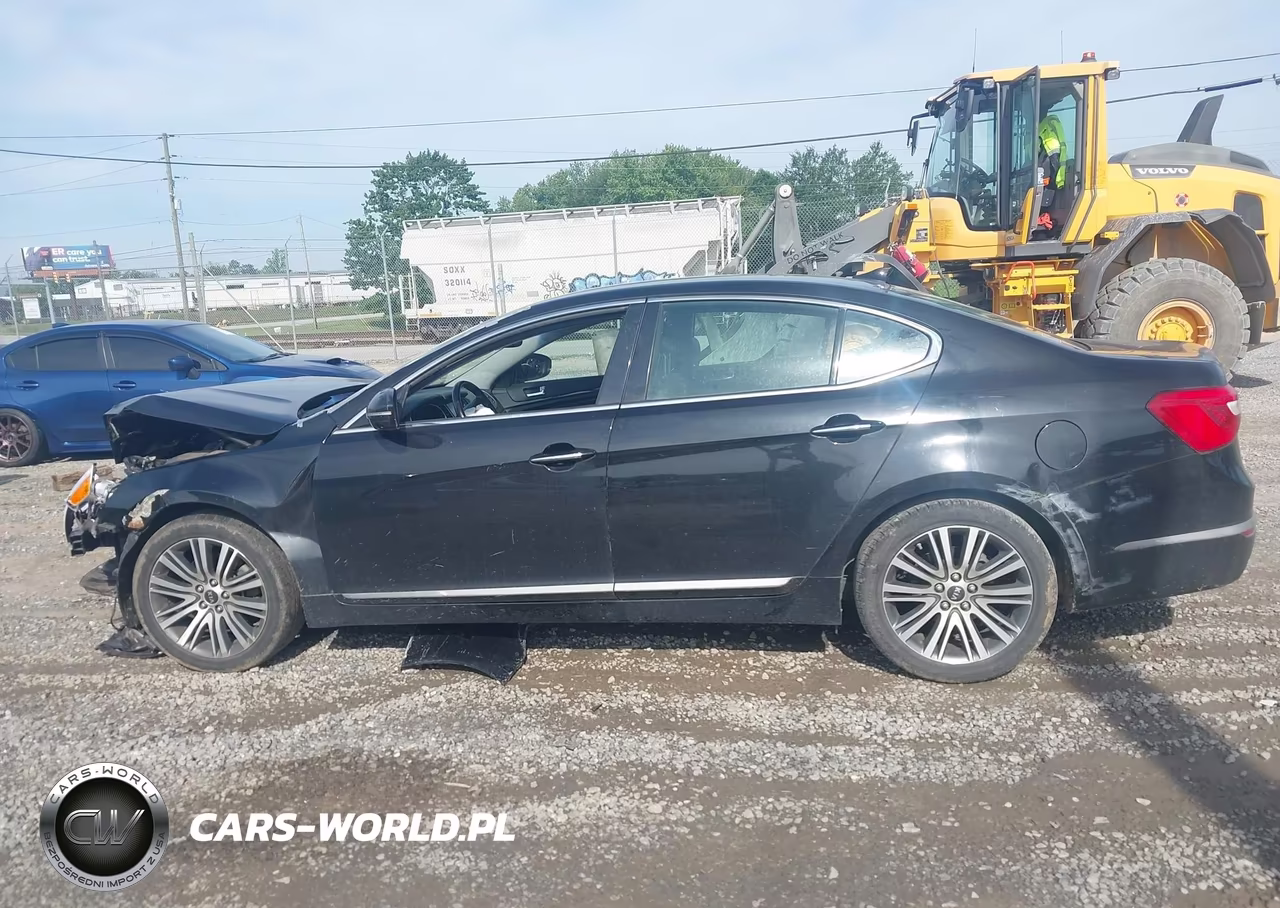 2014 Kia Cadenza Premium VIN:KNALN4D70E5166930 - 14